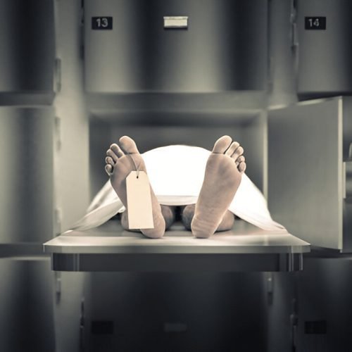 Private & Mobile Mortuary